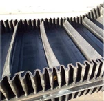 Sidewall Conveyor Siv