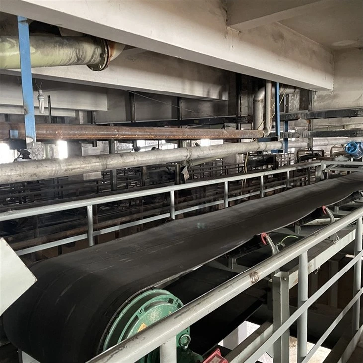 sand belt conveyor